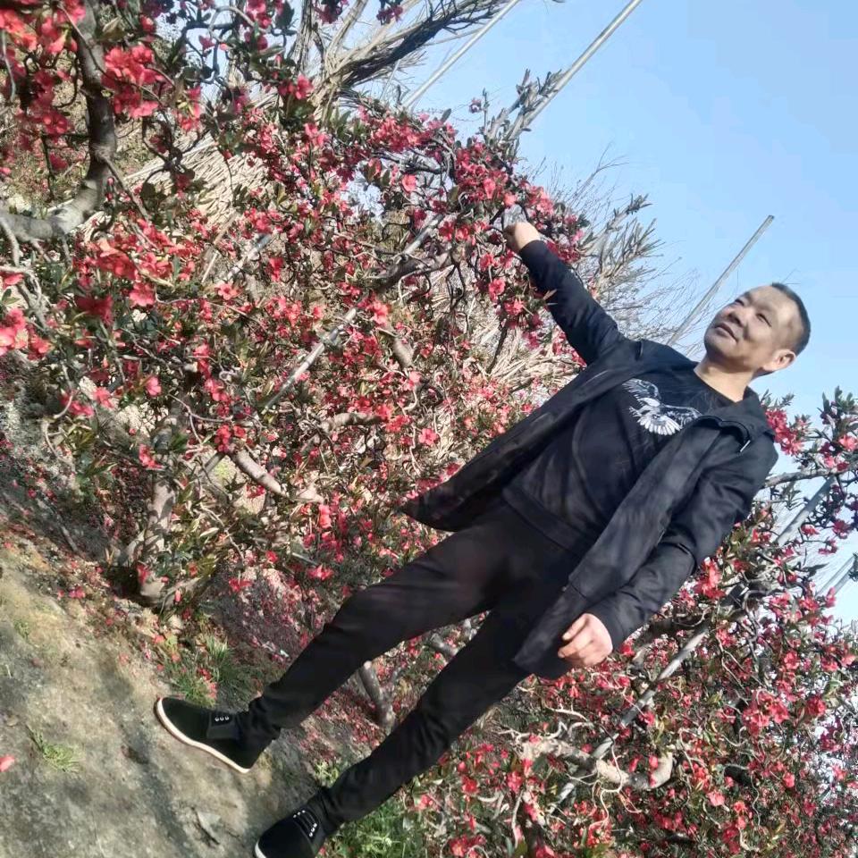 健康快乐，都江堰，67年