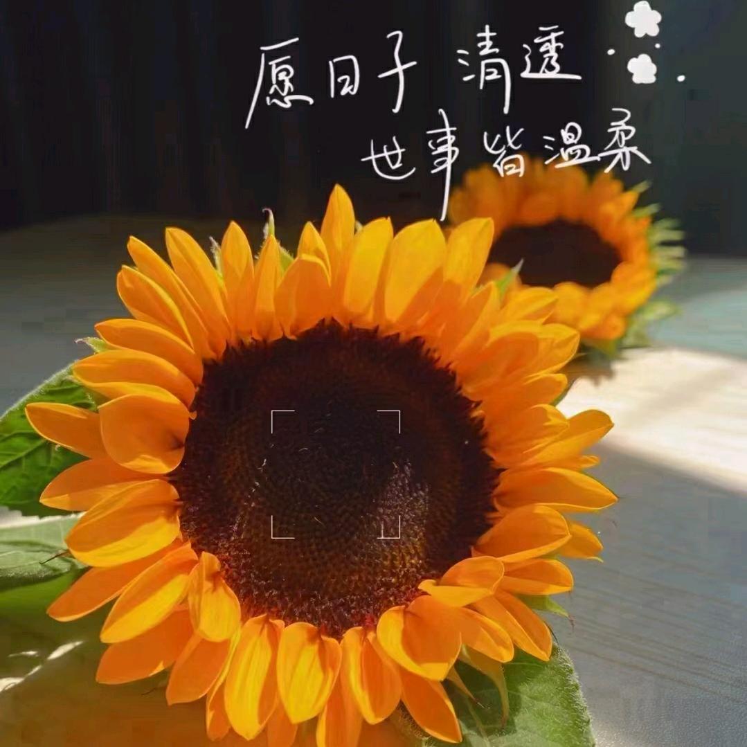 小红团团