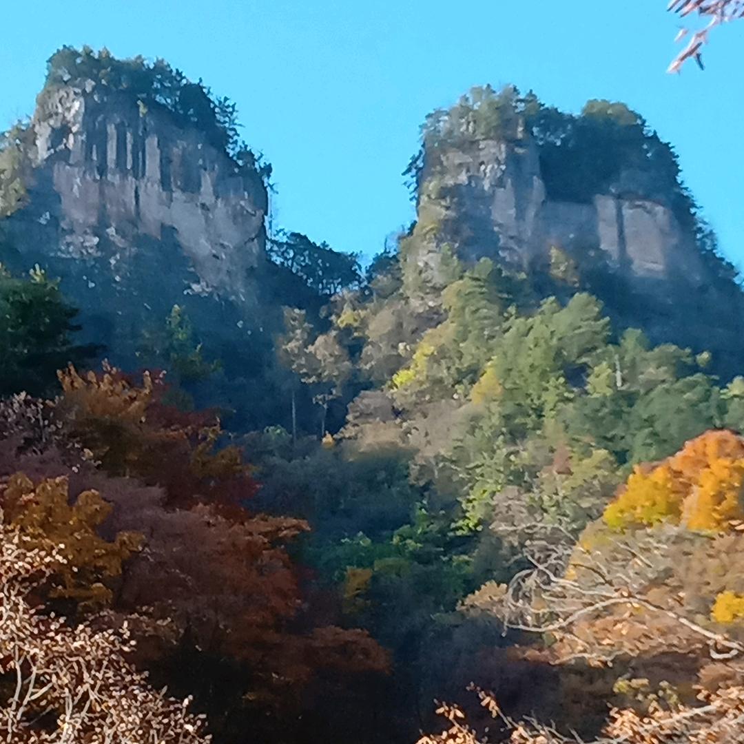 只饮烈酒，不谈过往