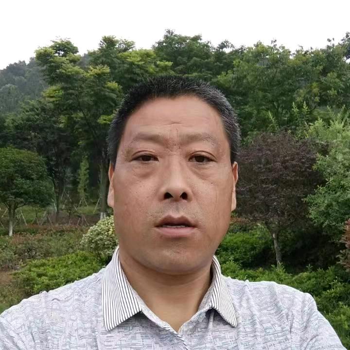 岳进朝