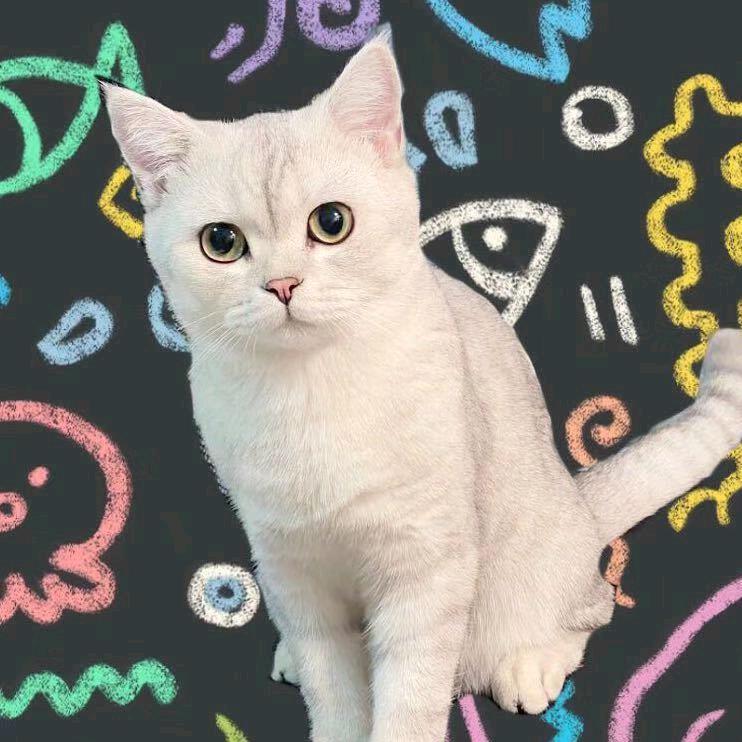 招财猫有有与弟弟