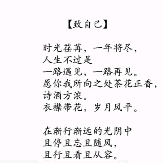 银狐
