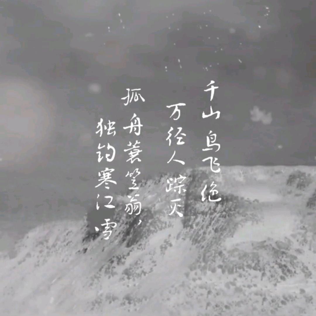 寻风者　　　　　　　　╲