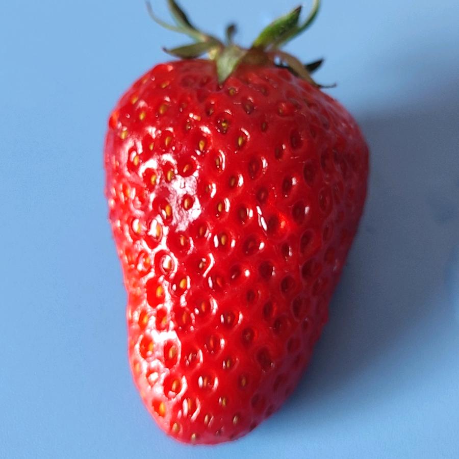 阳洋~🍓