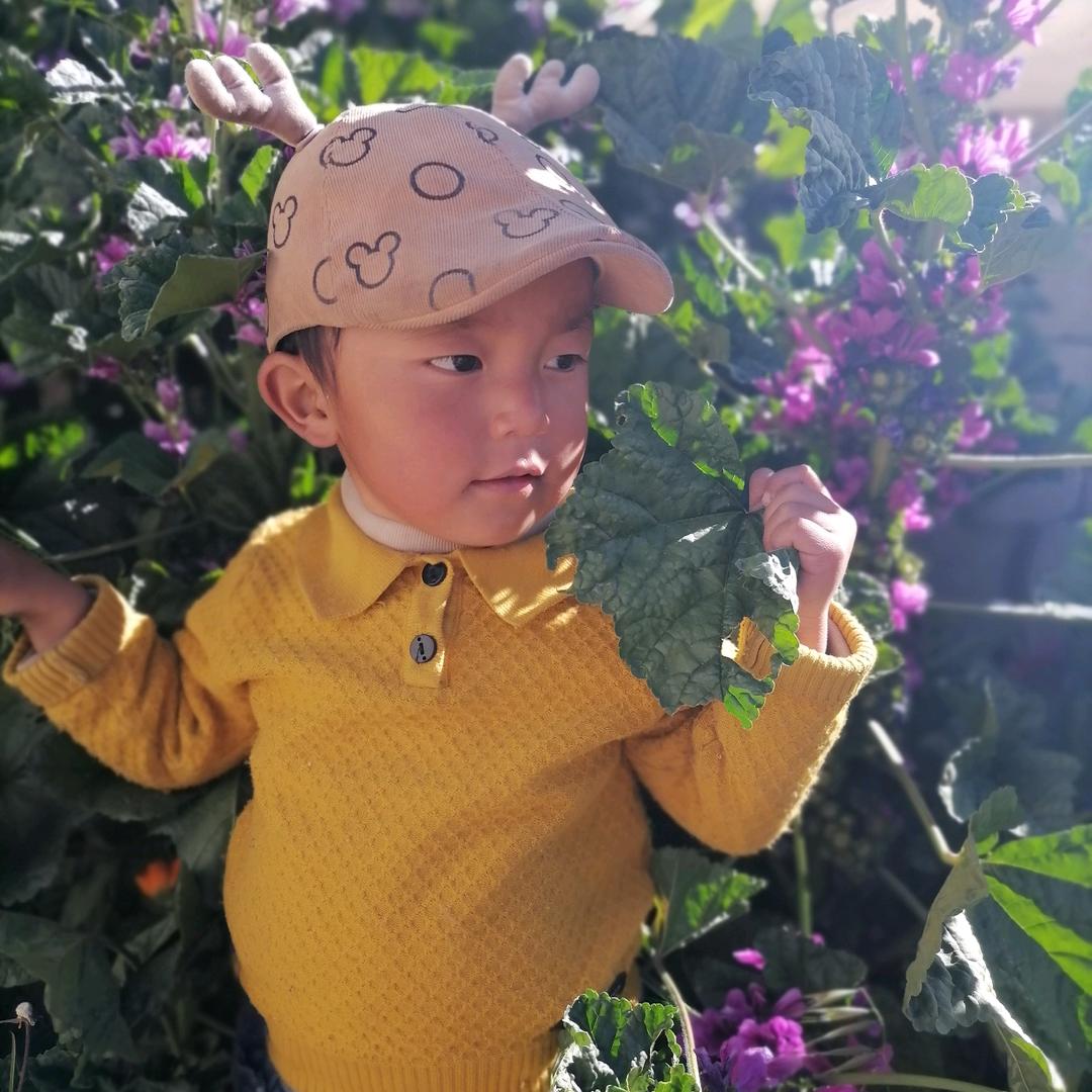 我不怕死!只怕爸妈老。