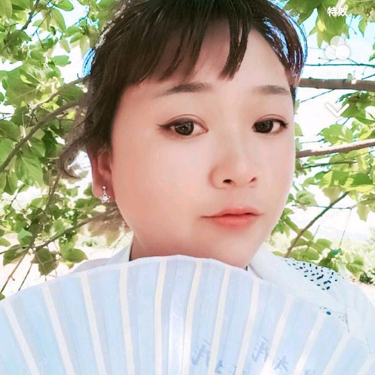 蝴蝶🦋飞舞吧