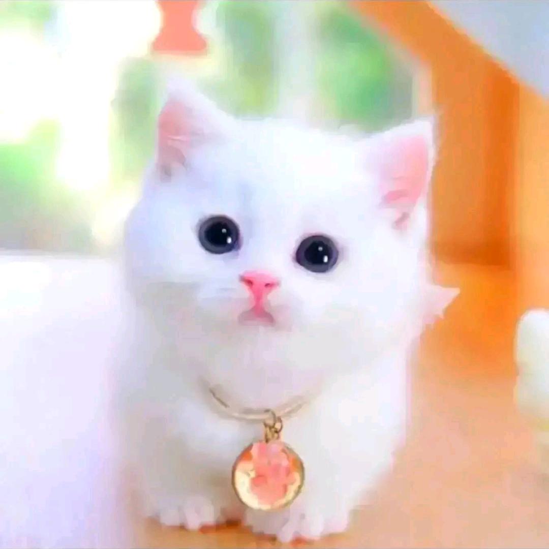 大维乒乓球馆SKY