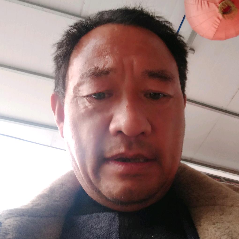 杨礼月