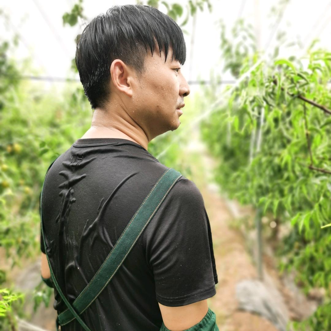 愈战愈勇，每天十八