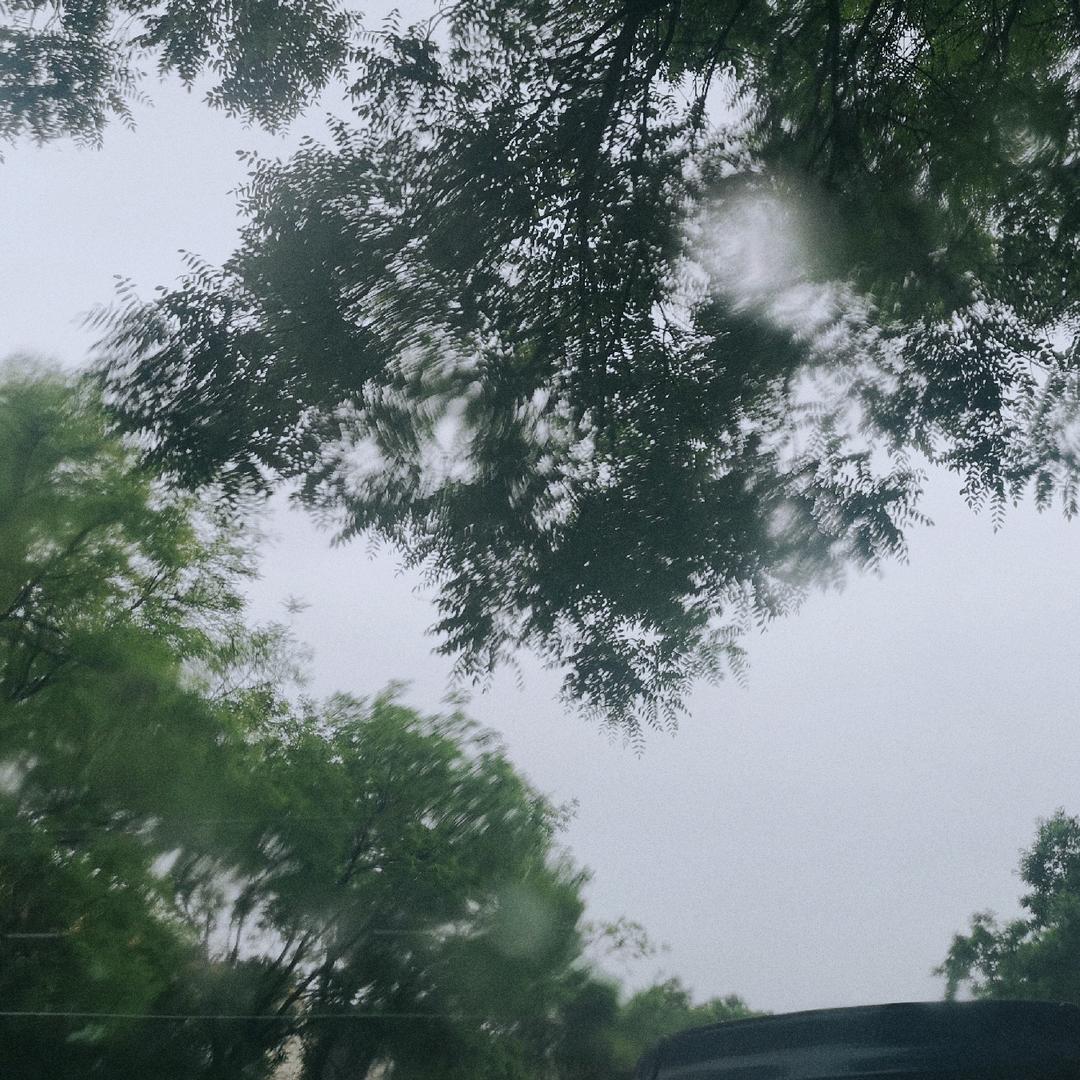 阳光总在风雨后