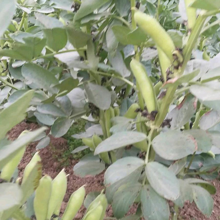 懂得珍惜才配拥有👫