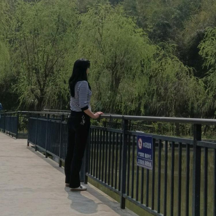 桂影清怜
