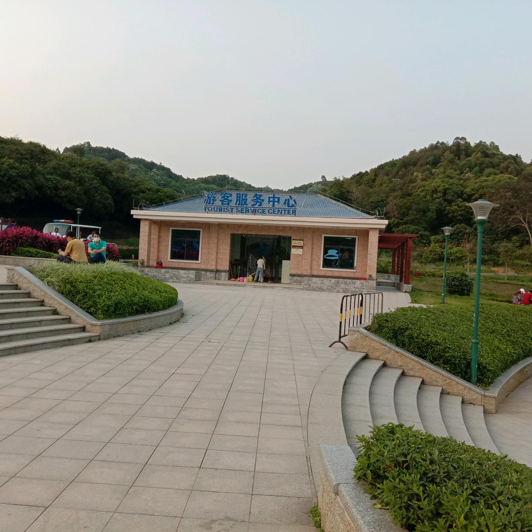 龙行天下15