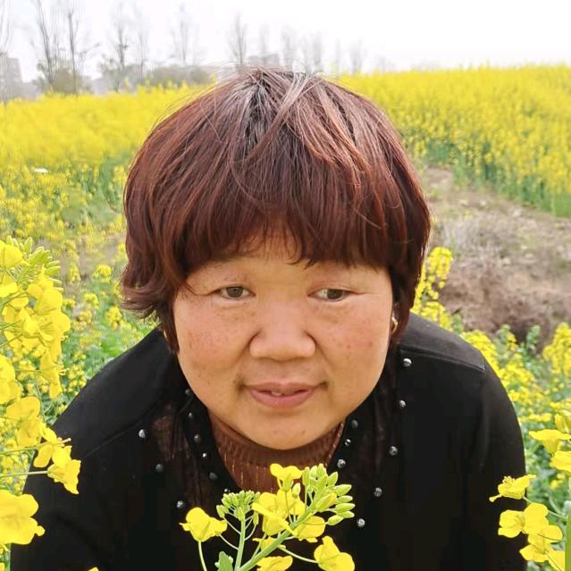 农村陈姐