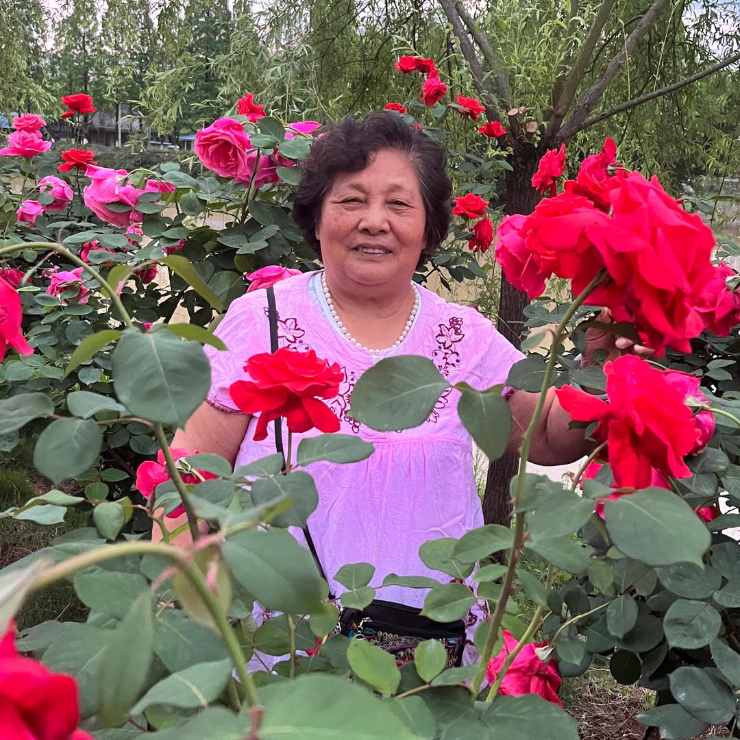 春暖花开