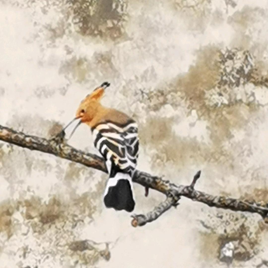 加油小步