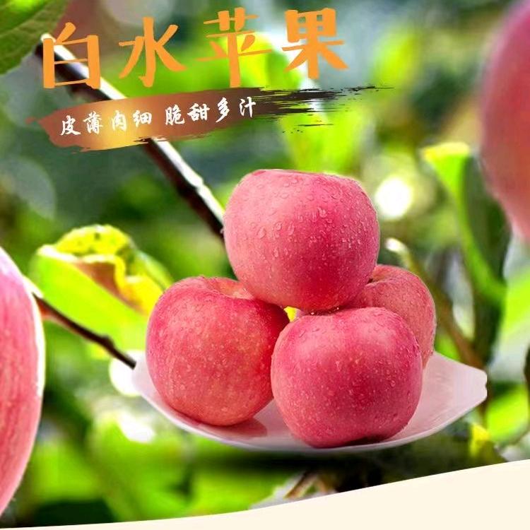 李培鹏🍏白水苹果