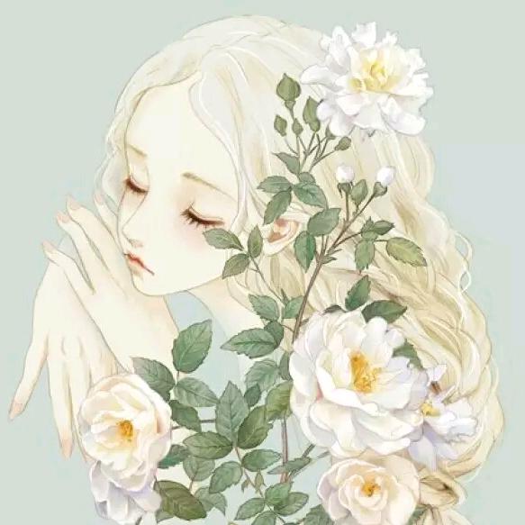 袜子小姐的花花世界
