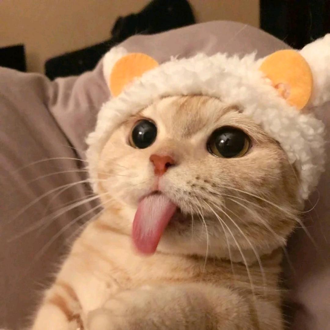 囖