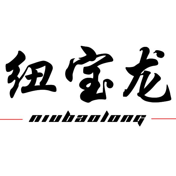 纽宝龙鞋业官方店