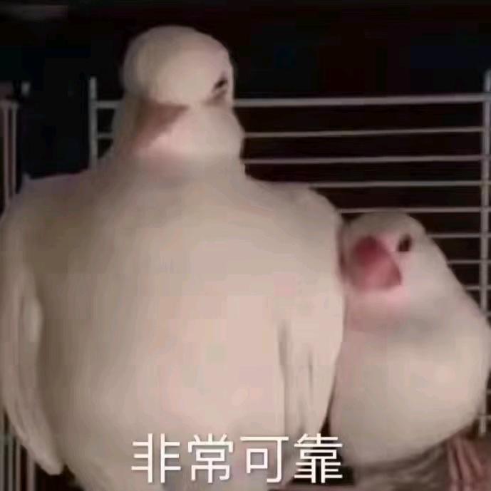 鱼锅味