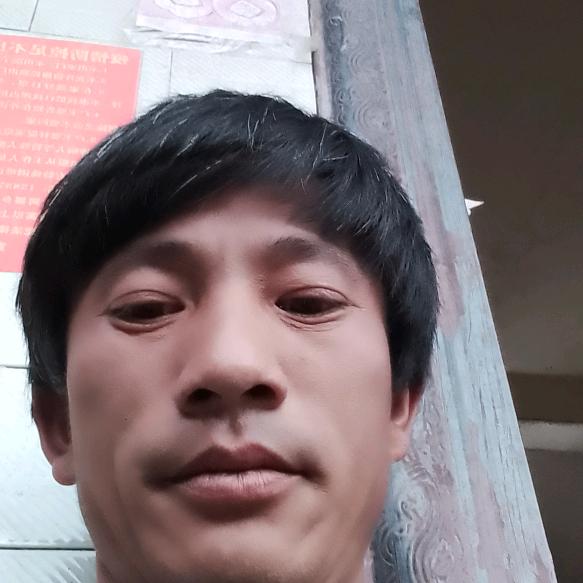 独自流浪