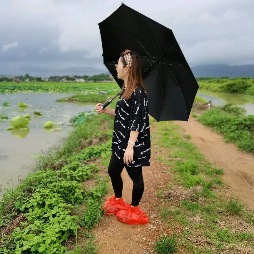 燕子小姐