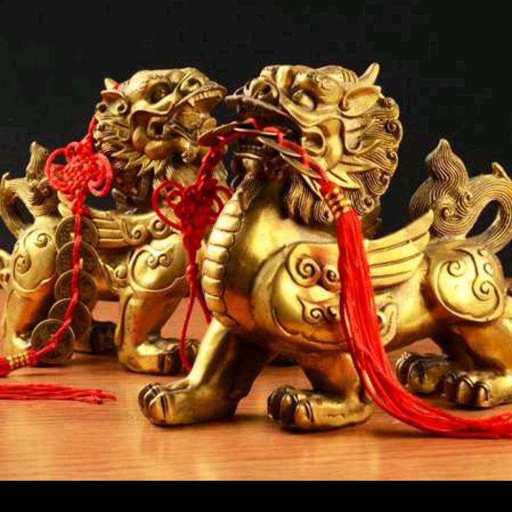 和金