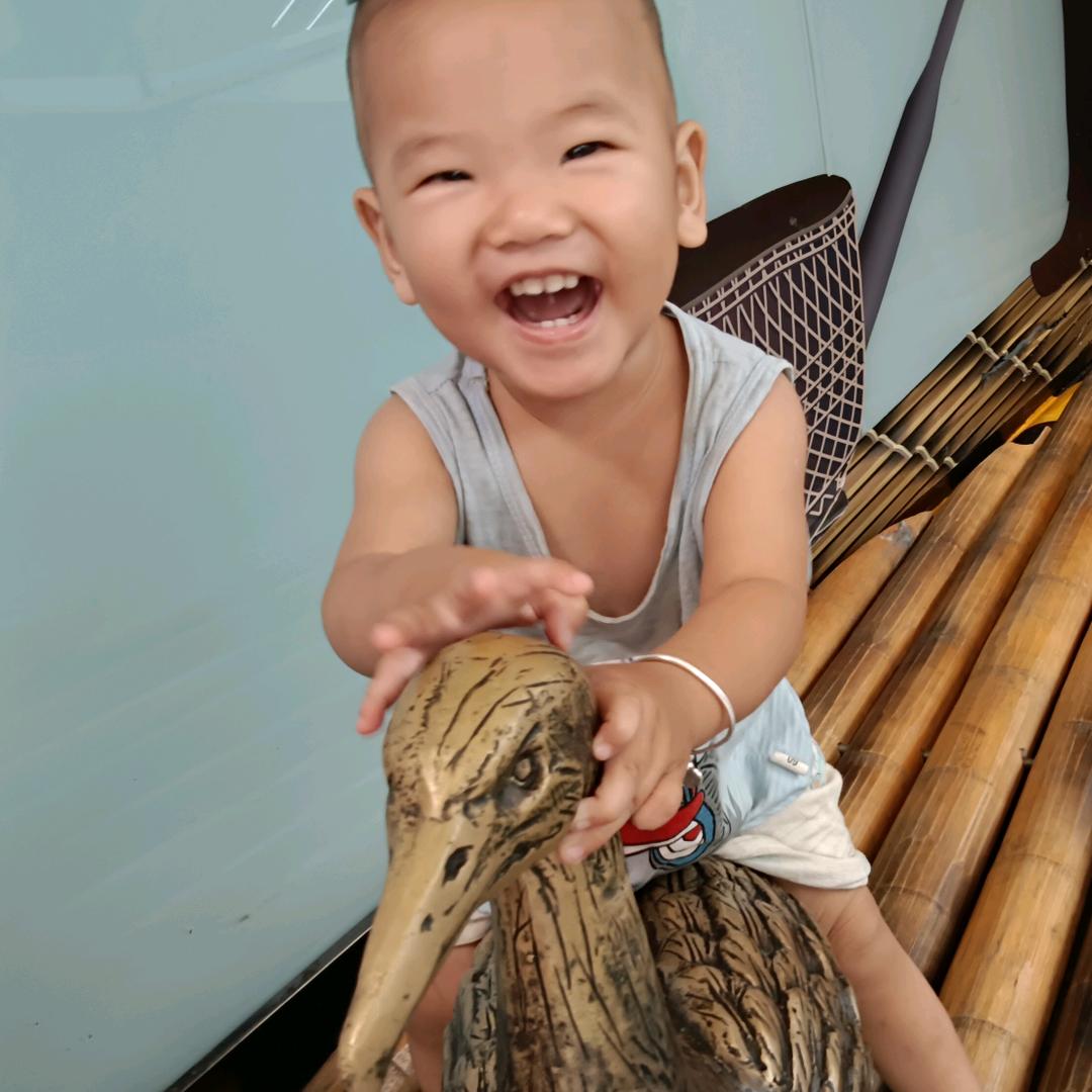 小懒猪（╯3╰）