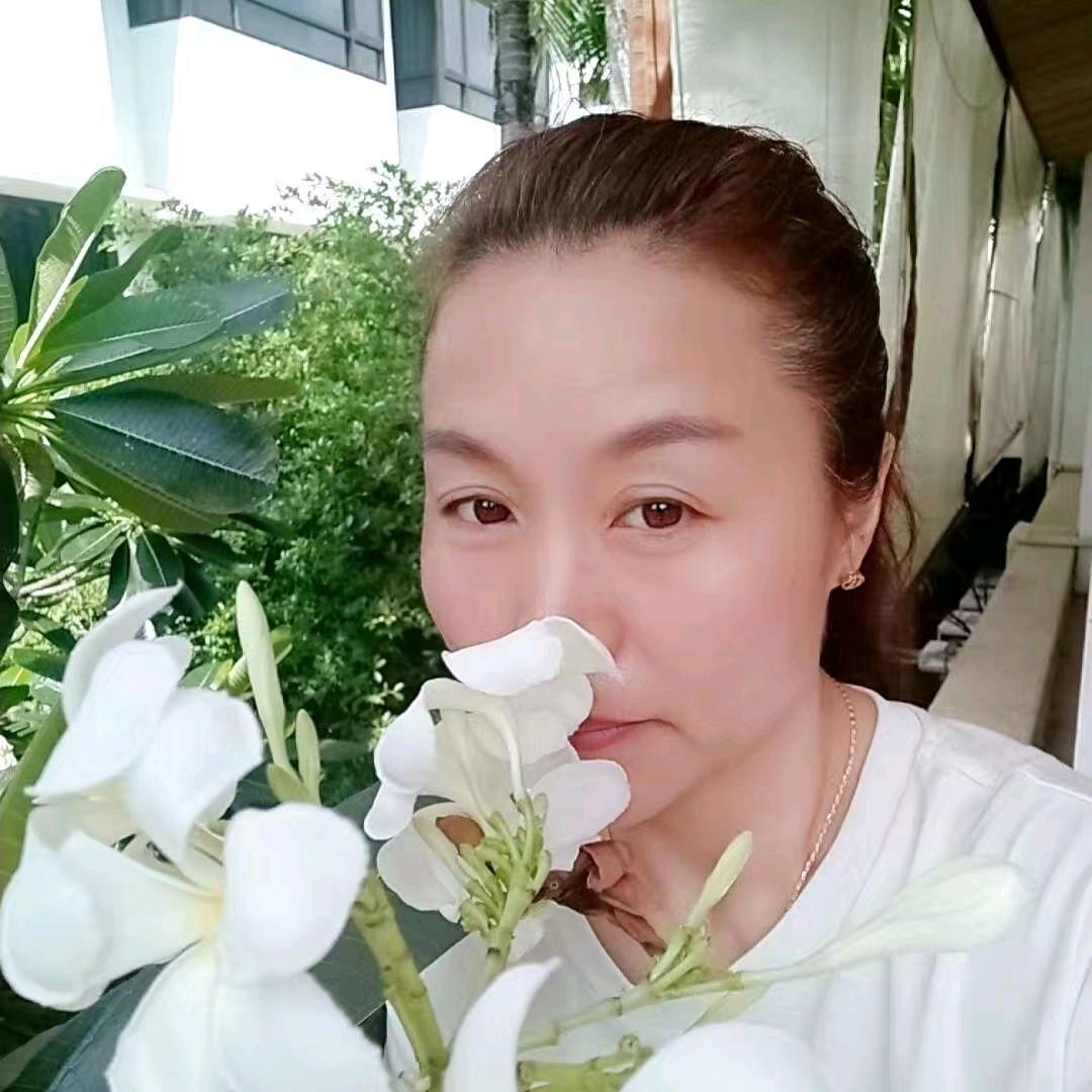 菏泽三角轮胎
