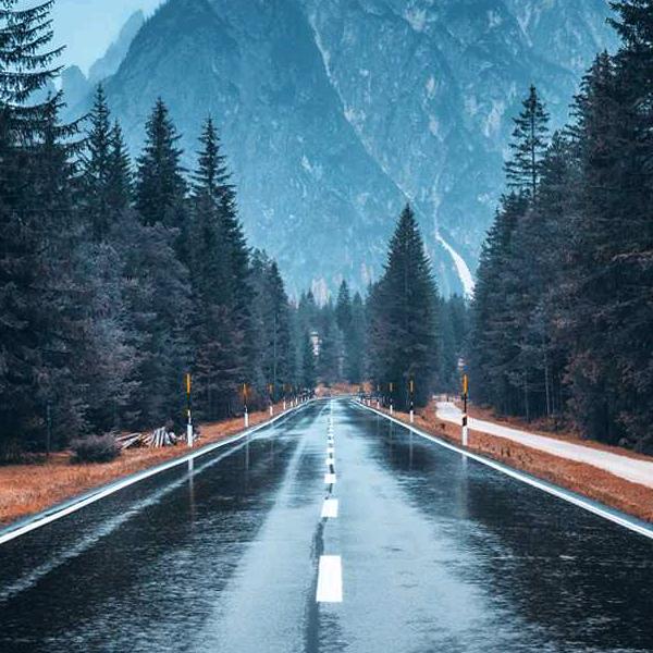 🌴🌴 杨   ☔️☔️