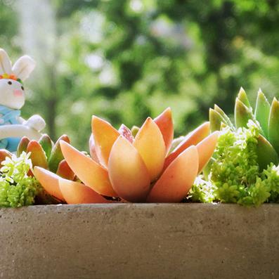 荣荣——爱生活