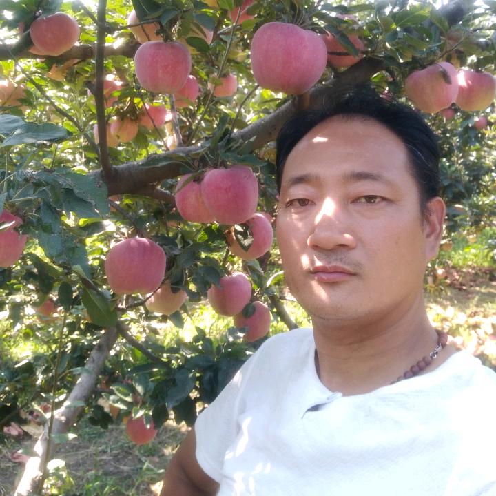 货真快水果经营店