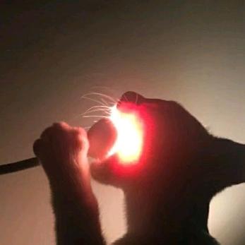 草莓冰激凌裹樱桃