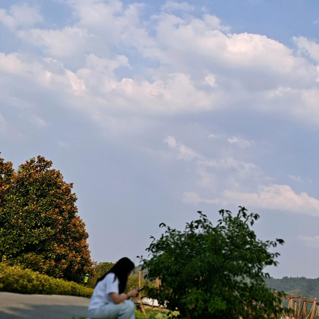 何必管他真假