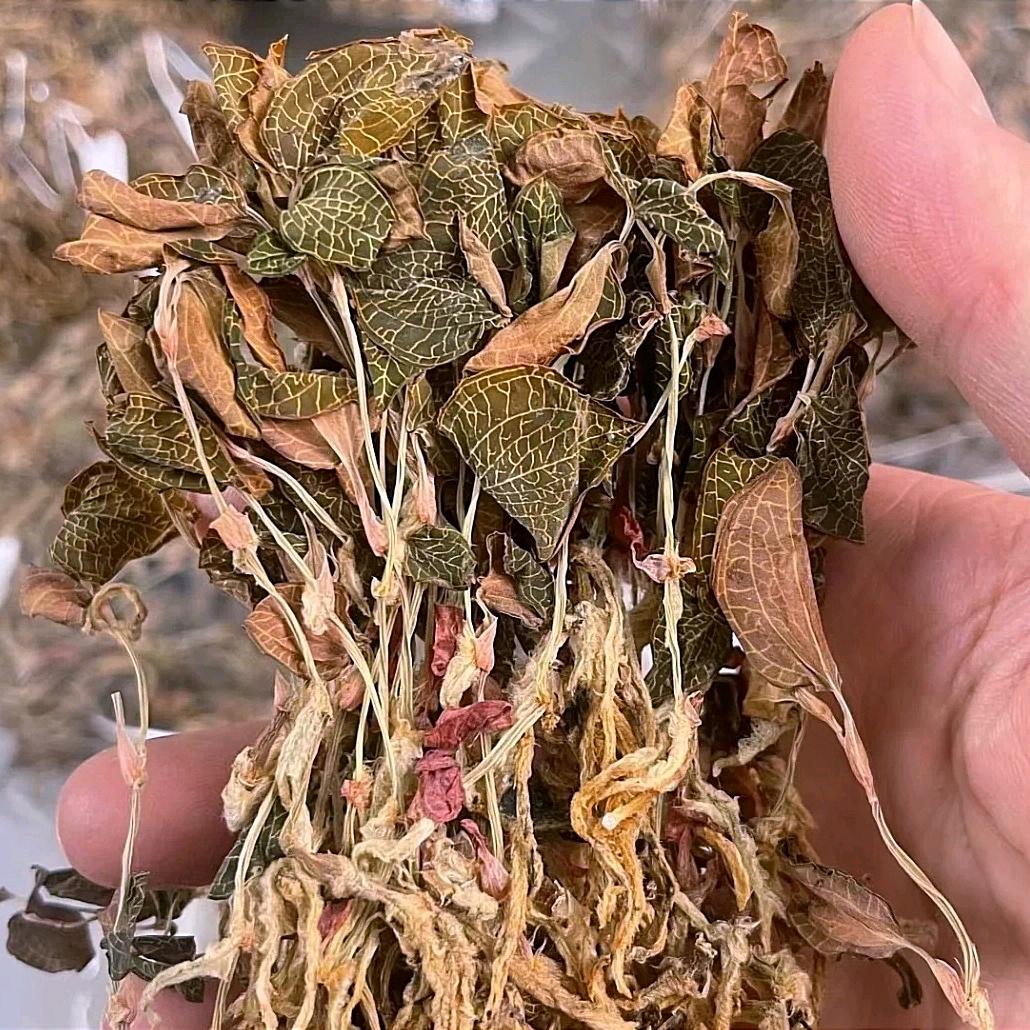 （俊仔）粤式滋补