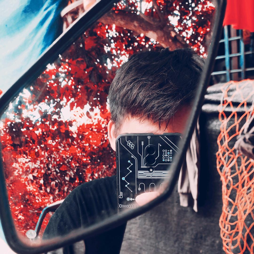 乱世王者-海南盆🐟艳