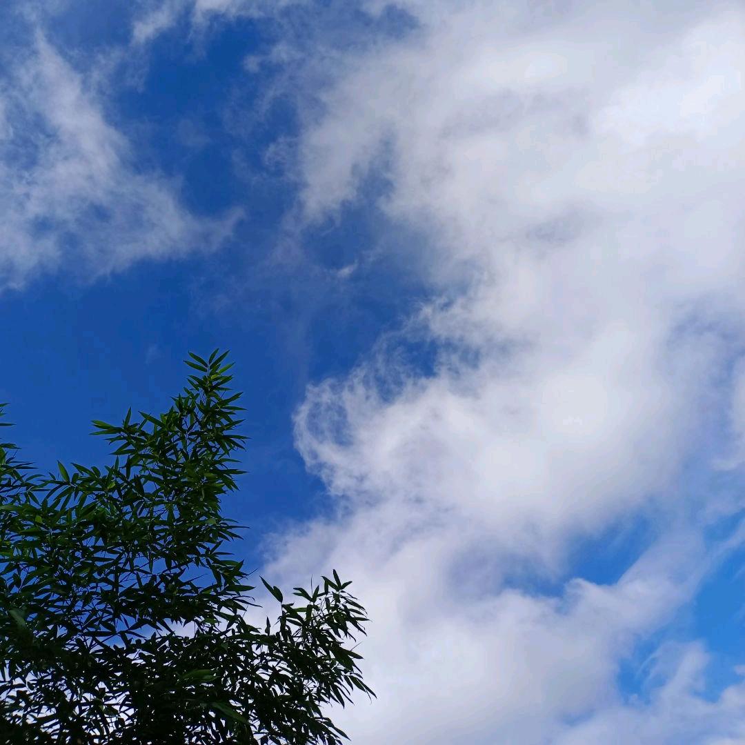 多年以后7227405013427