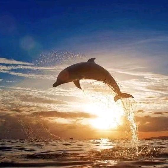 （大道）蓝鲸游泳俱乐部(云鼎校区)官方号