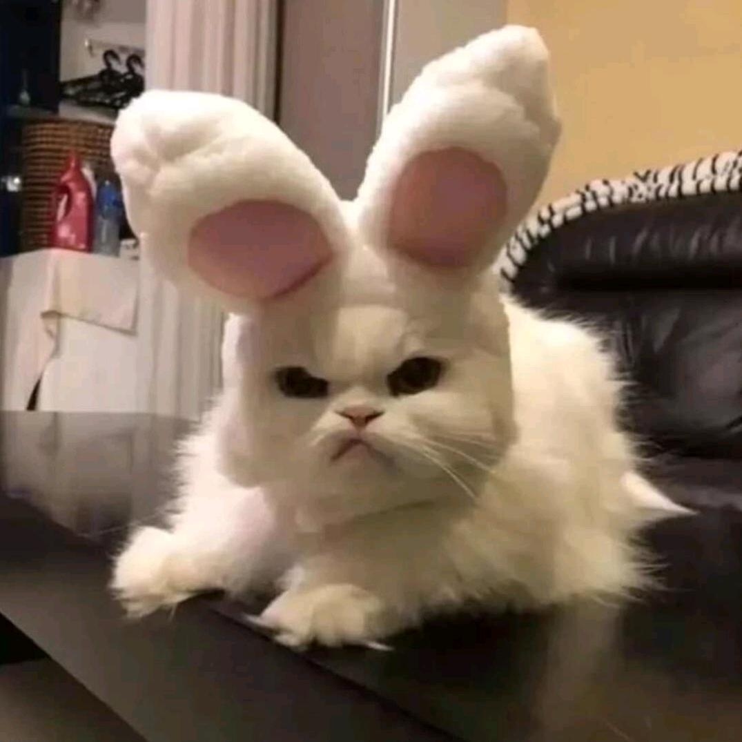 好9⃣️不见