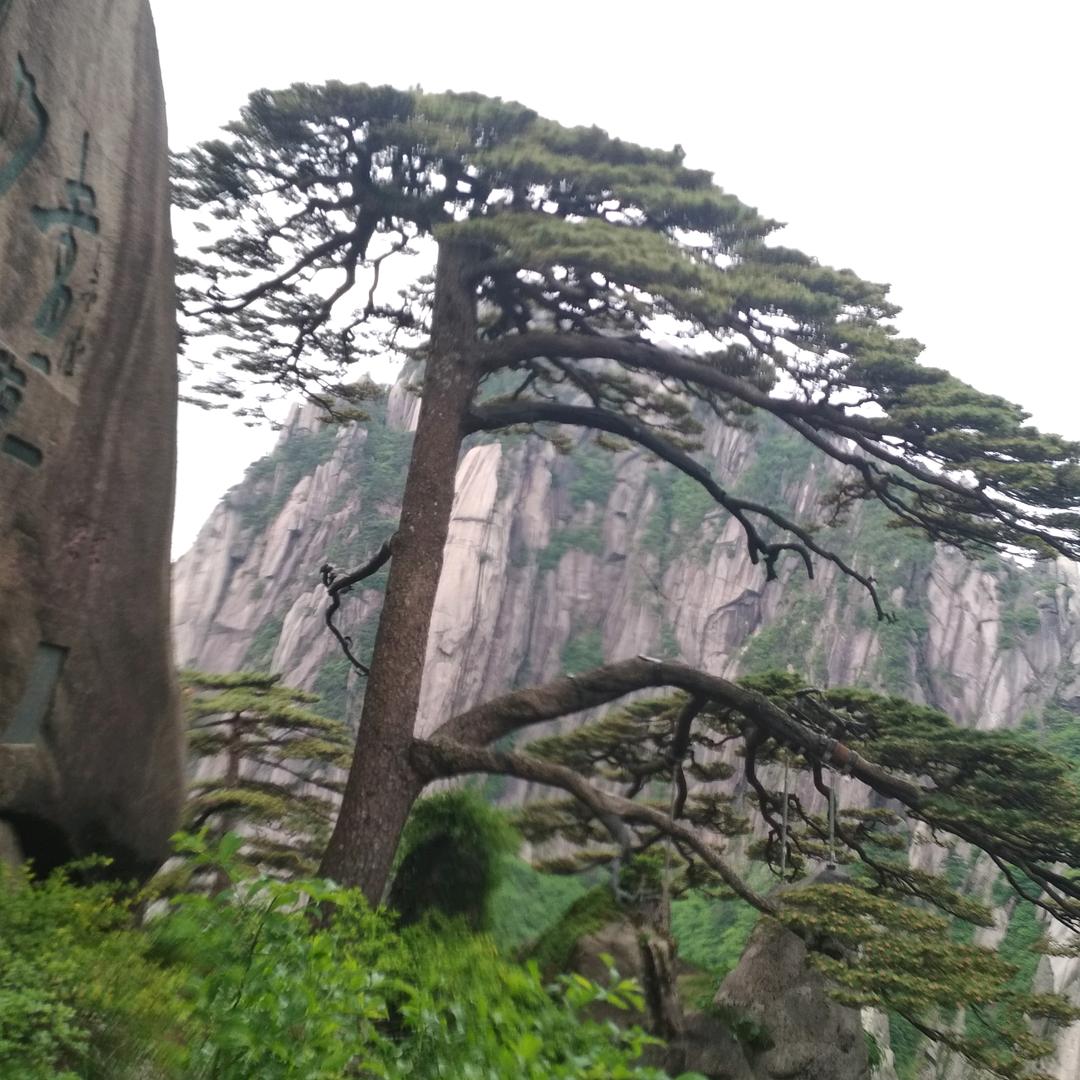 日月
