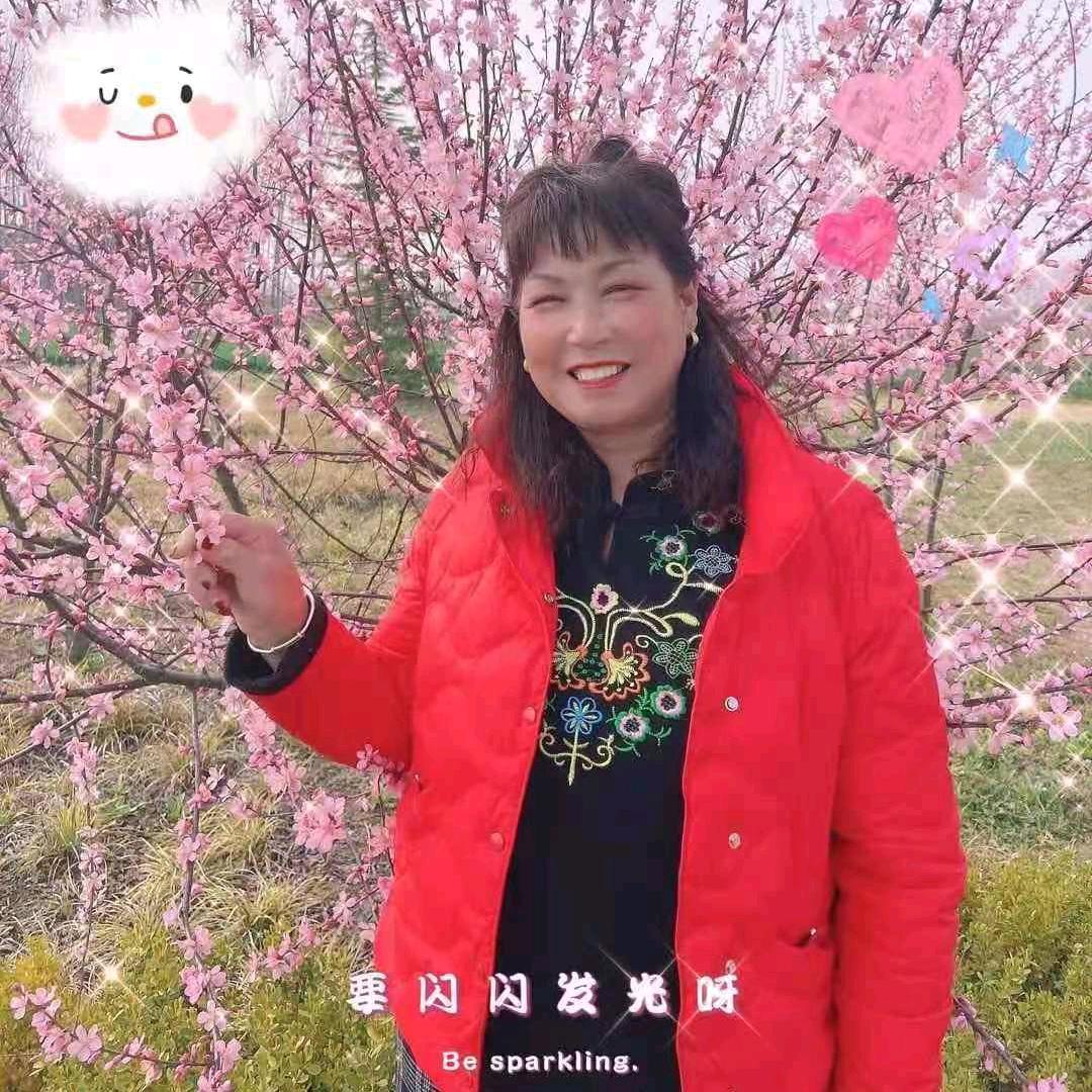 老九