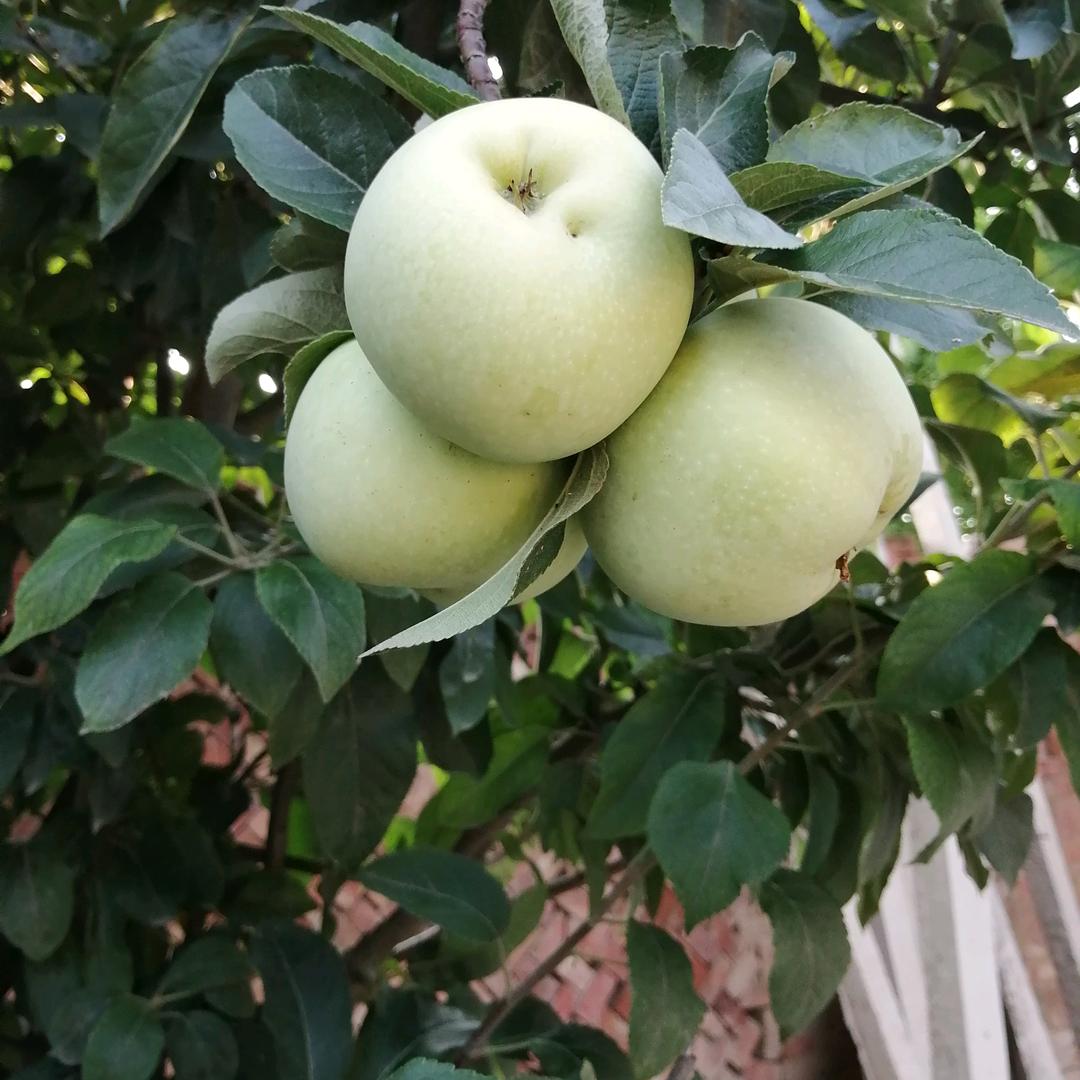 有一种思念叫永远