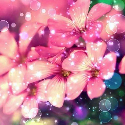 飞翔太空