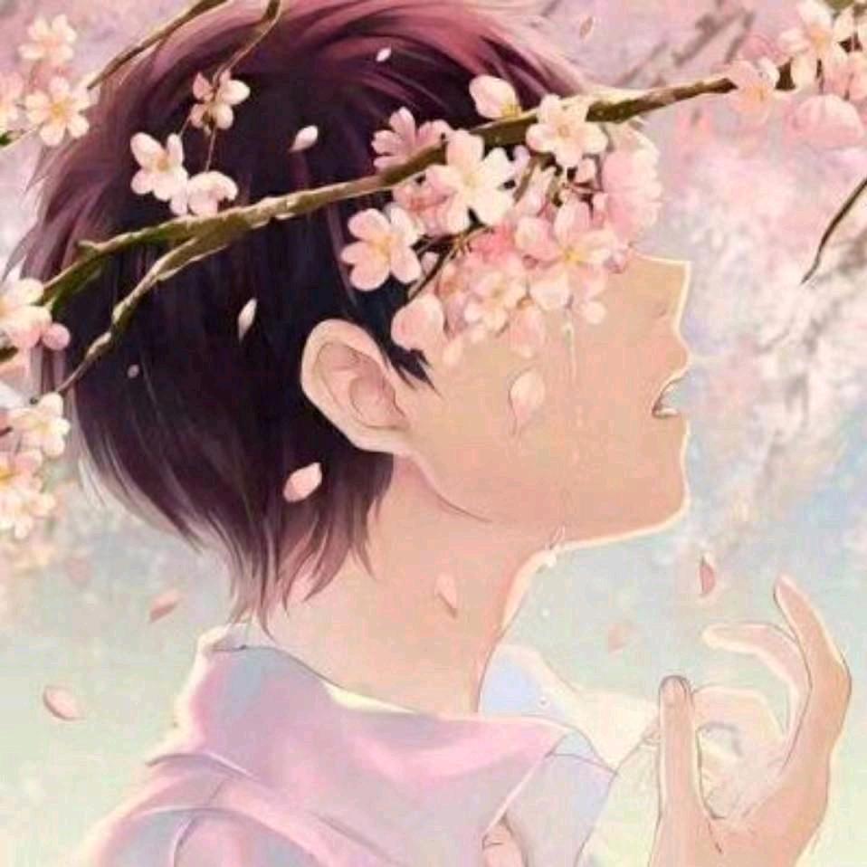 ㄣ腾 飞 ┈┾
