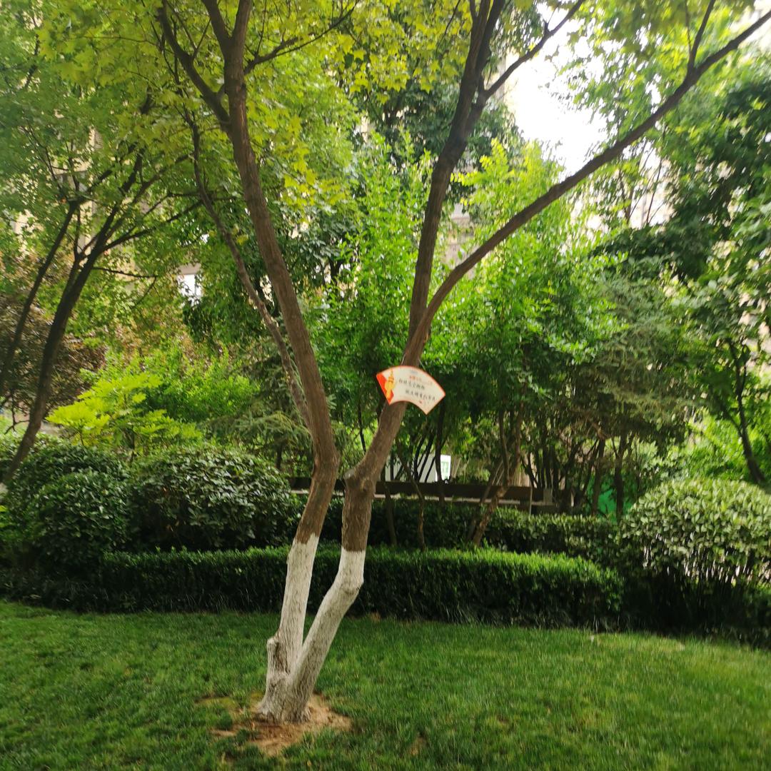 甜妹你信不