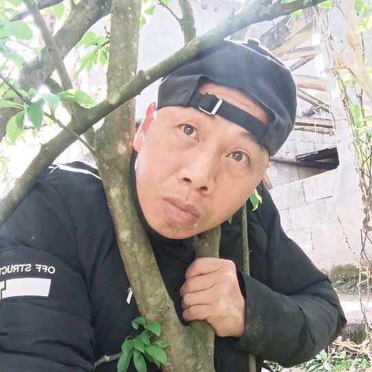 刘三锅