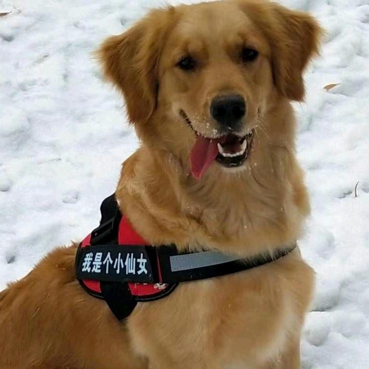 《憎死鬼》在新疆