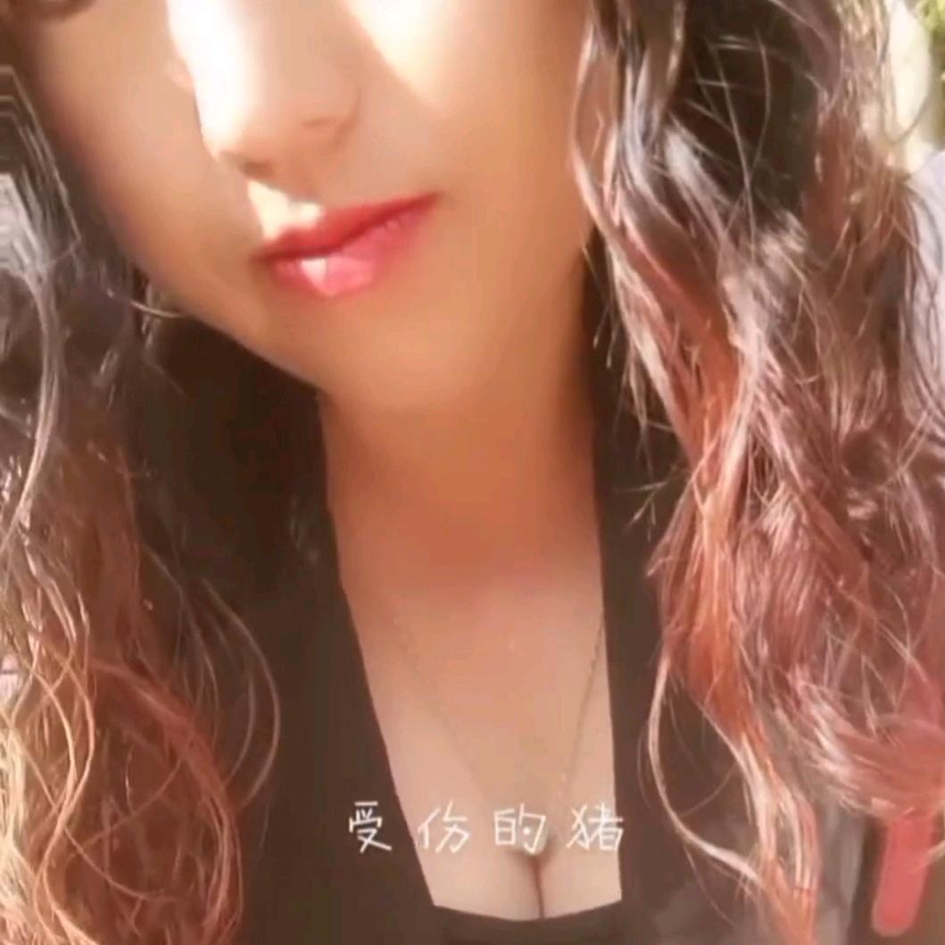 茂兰有芹养鸡场