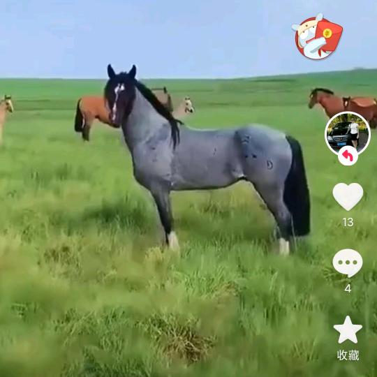 老郑